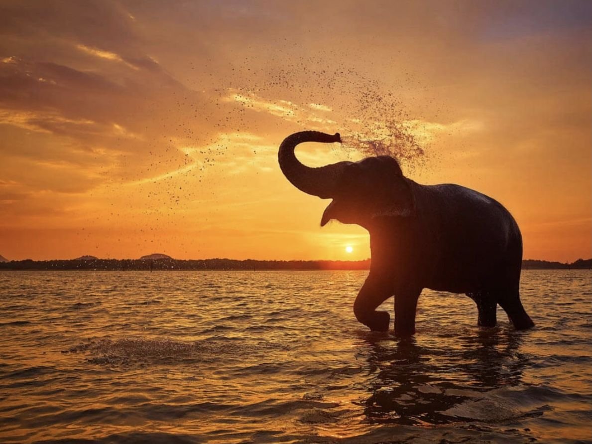 Andaman Tour Packages
