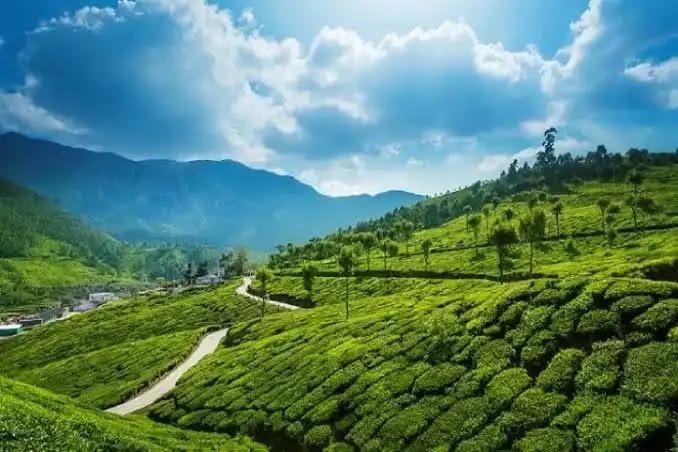 Hill Station